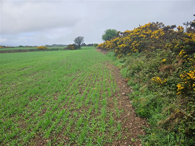 Ballyhooleen, Ballinhassig, Cork