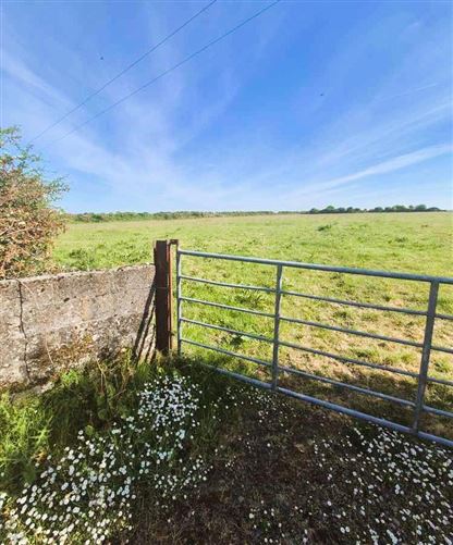 Derelict Cottage & Lands Brownsgrove, Tuam, Co. Galway