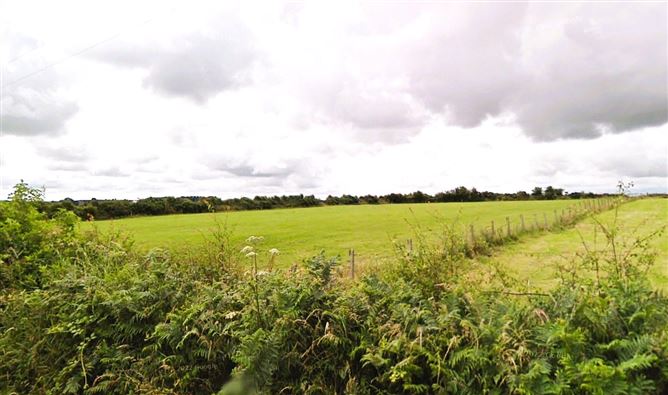 Derelict Cottage & Lands Brownsgrove, Tuam, Co. Galway