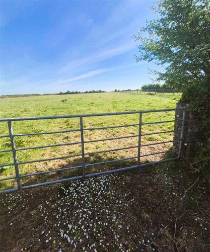 Derelict Cottage & Lands Brownsgrove, Tuam, Co. Galway