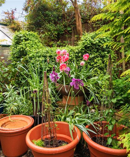 72 Lower Kimmage Road, Harold's Cross, Dublin 6W