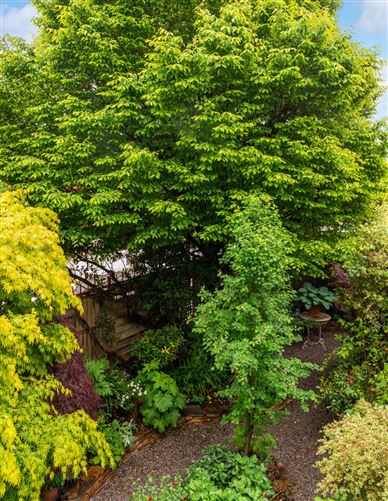 72 Lower Kimmage Road, Harold's Cross, Dublin 6W
