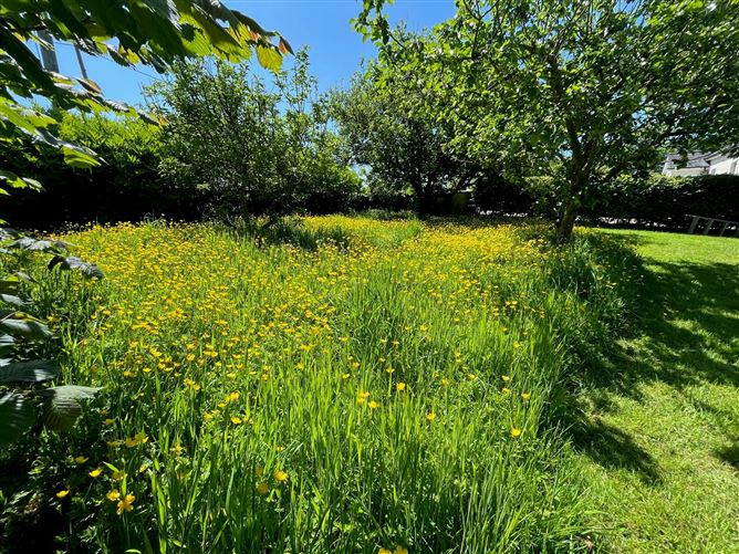 Millbrook Lodge, Baronstown Lower, Grange Con, Wicklow