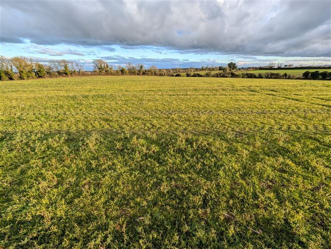 Stadalt, Stamullen, Meath