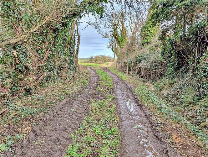Stadalt, Stamullen, Meath