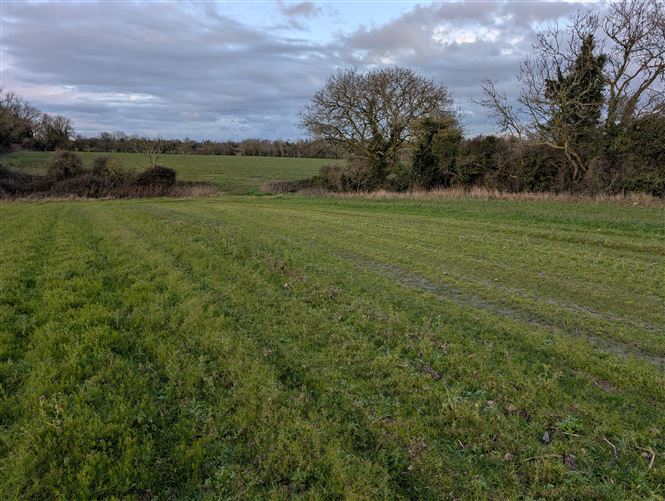 Stadalt, Stamullen, Meath