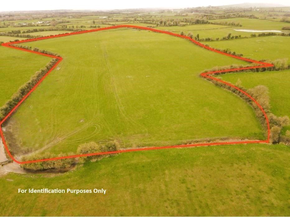 Lands Glentara, Roscrea, Co. Offaly