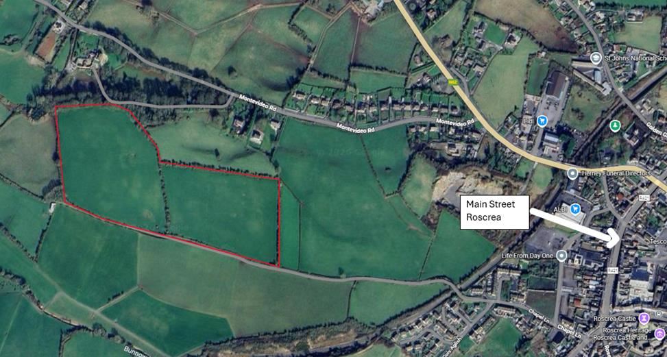 Approx. 22.96 Acres Chapel Lane, Roscrea, Co. Tipperary