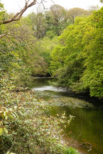 Site @ Richmond Rise, Sallybrook, Glanmire, Cork