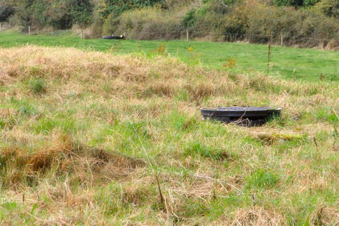 Gortroe, Colmanswell, Charleville, Cork