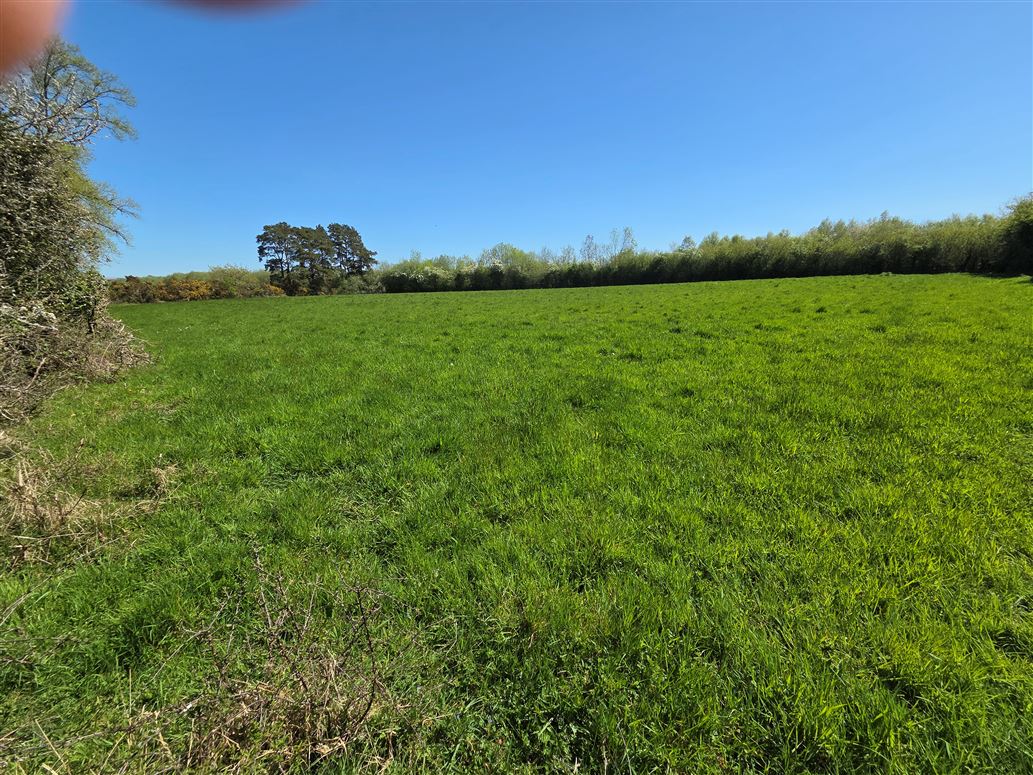 Clogheenafishoge, Cahir, Tipperary
