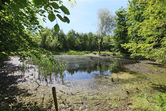 The Gate Lodge, Lough Rynn, Mohill, Co. Leitrim