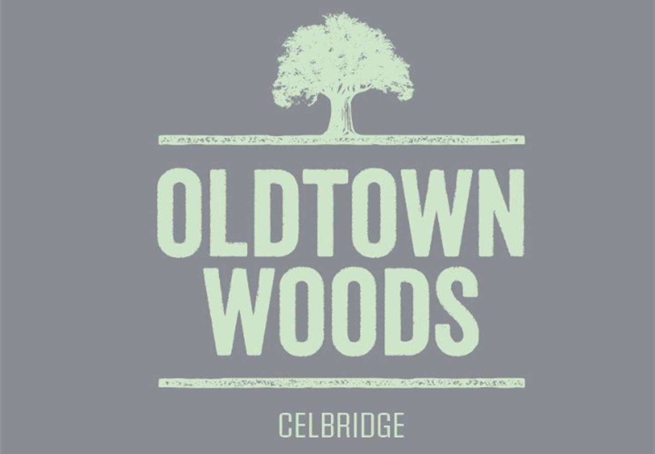 Oldtown Woods, Celbridge, Kildare