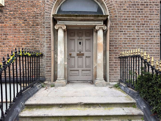 67 Lower Leeson Street, Dublin 2, Dublin