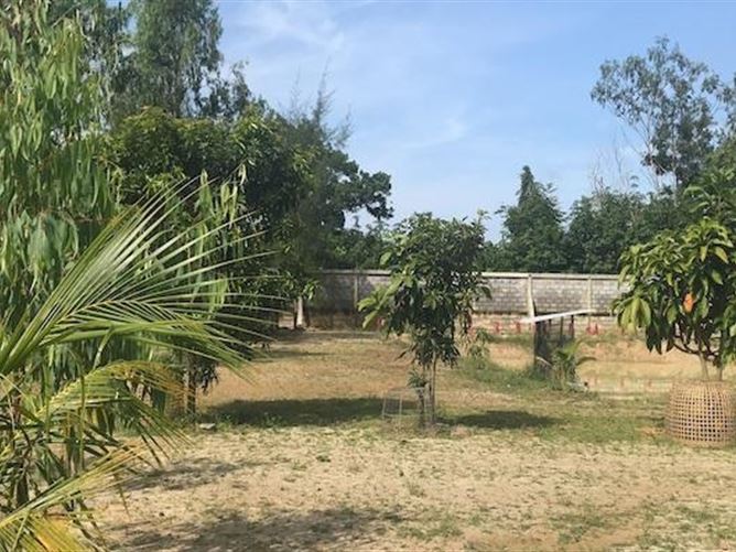 Private, Soi Tessaban Tambon Khok Kloi, Phang Nga