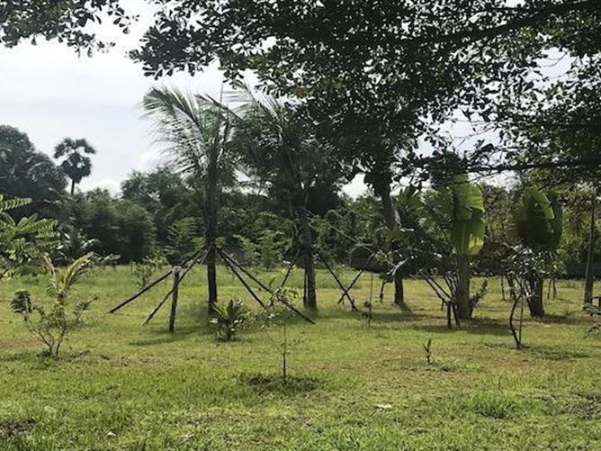 Private, Soi Tessaban Tambon Khok Kloi, Phang Nga