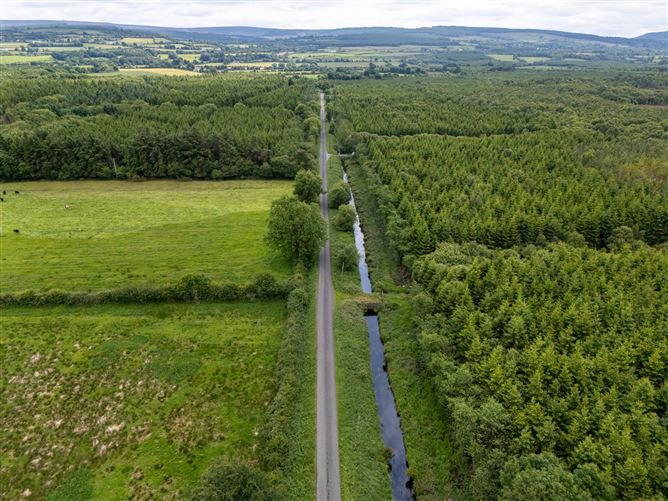 Curragh, Cadamstown, County Offaly