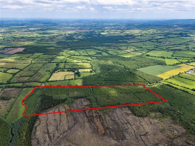 Curragh, Cadamstown, County Offaly