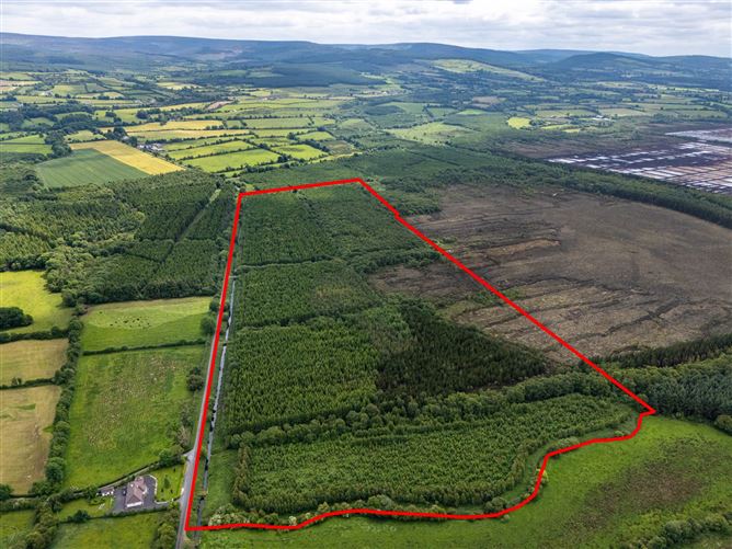 Curragh, Cadamstown, County Offaly