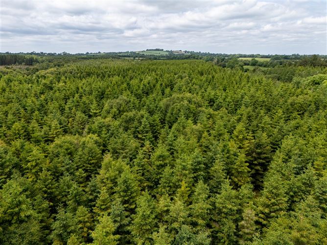 Curragh, Cadamstown, County Offaly