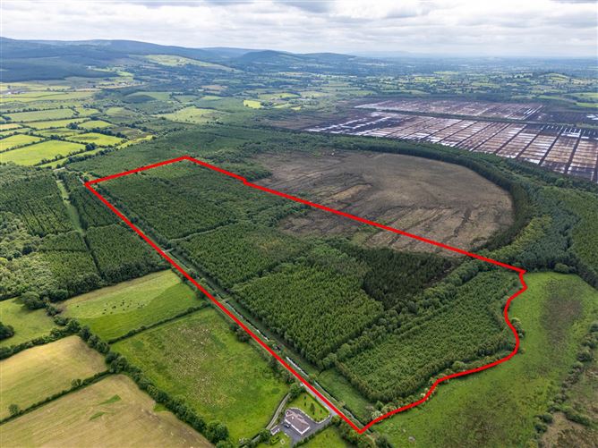 Curragh, Cadamstown, County Offaly