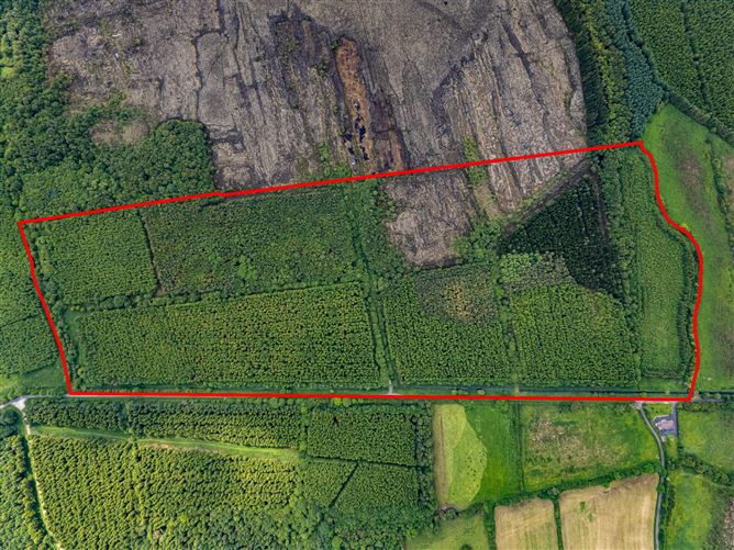 Curragh, Cadamstown, County Offaly