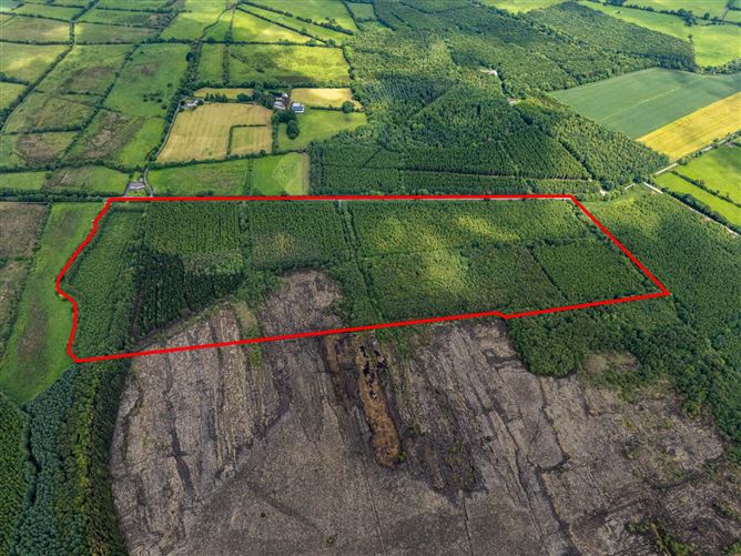 Curragh, Cadamstown, County Offaly