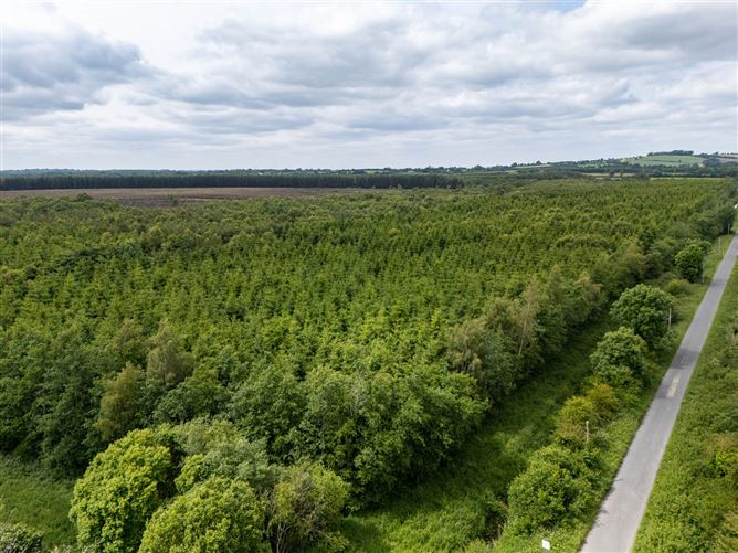 Curragh, Cadamstown, County Offaly