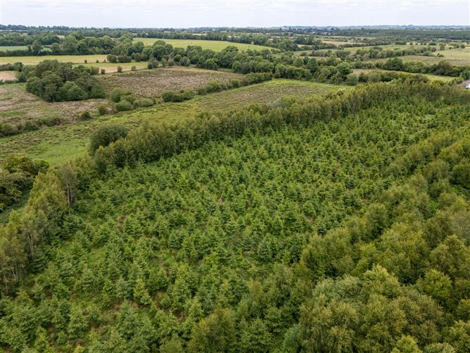 Curragh, Cadamstown, County Offaly