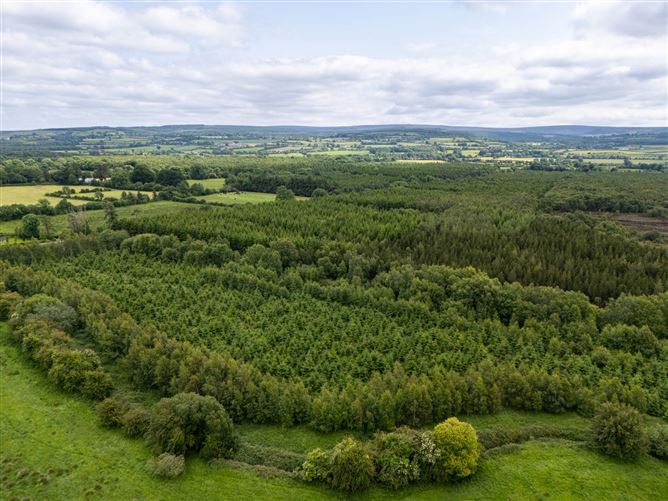 Curragh, Cadamstown, County Offaly