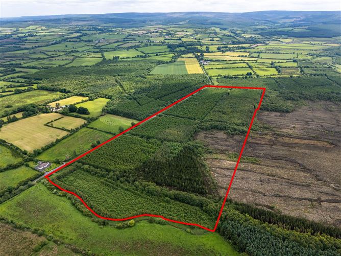 Curragh, Cadamstown, County Offaly