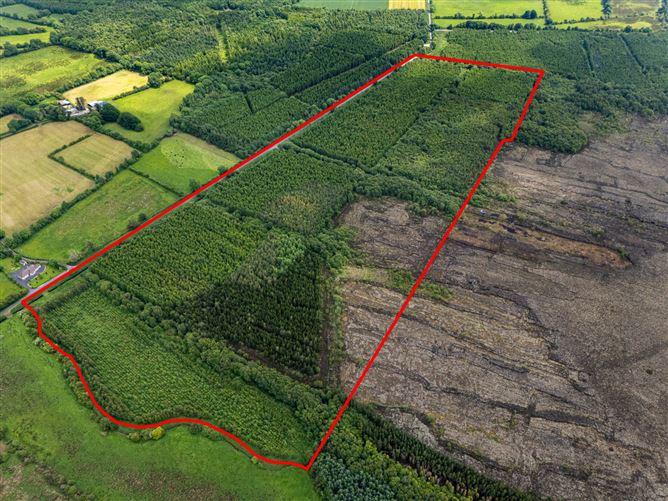 Curragh, Cadamstown, County Offaly