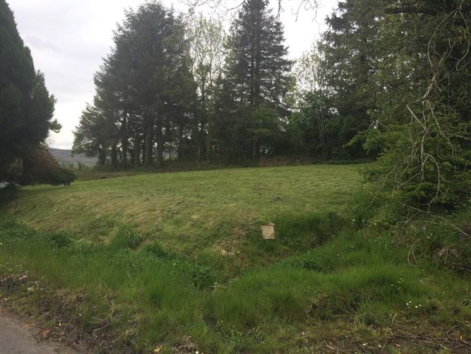 Srananooan, Arigna, Roscommon, Roscommon
