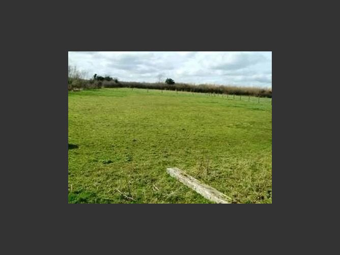 Main image for Kilcooney, Clonygowan, Offaly