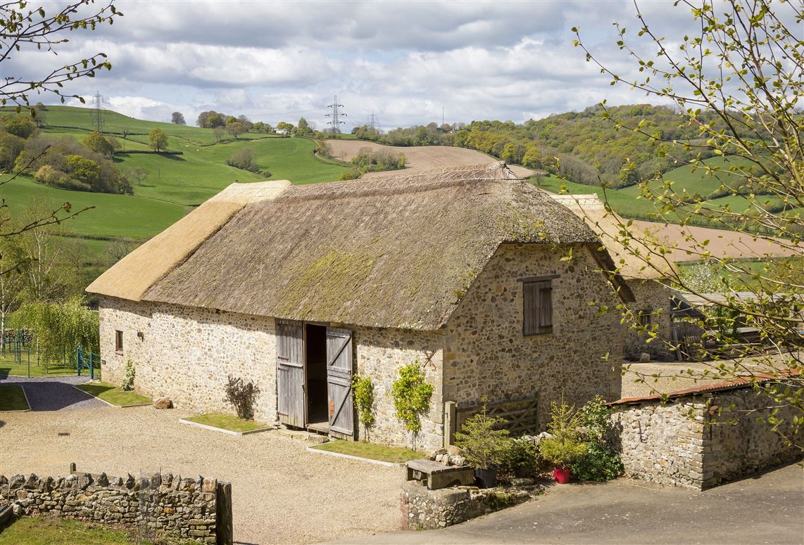 Devon Rose,Membury, Devon, United Kingdom