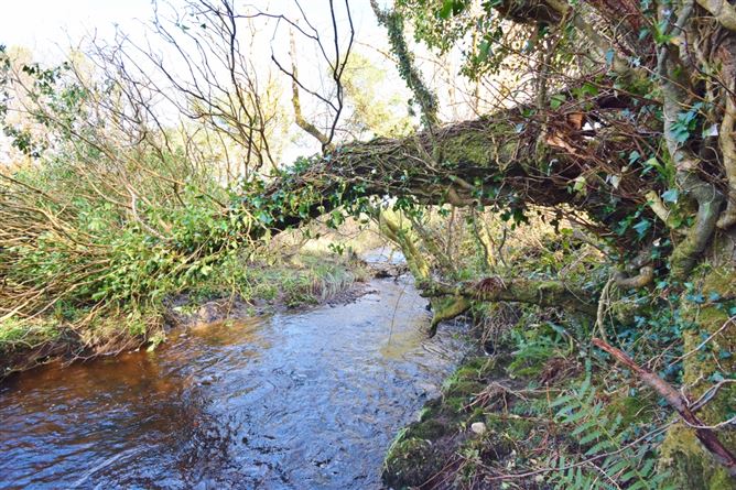 Knockaunbrack, Listowel, Co. Kerry