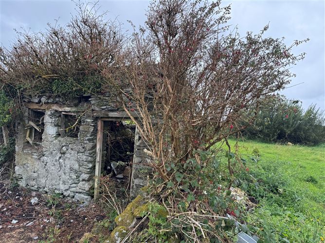Ref 1202 - Old Farmhouse, Doory, Portmagee, Kerry