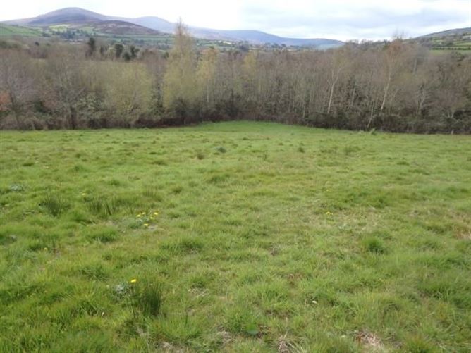Site A, Ballypreacus, Bunclody, Co. Wexford