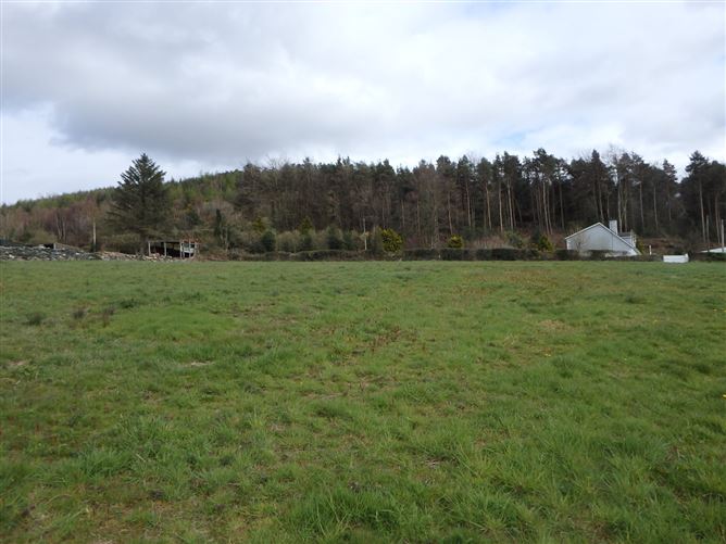 Site A, Ballypreacus, Bunclody, Co. Wexford