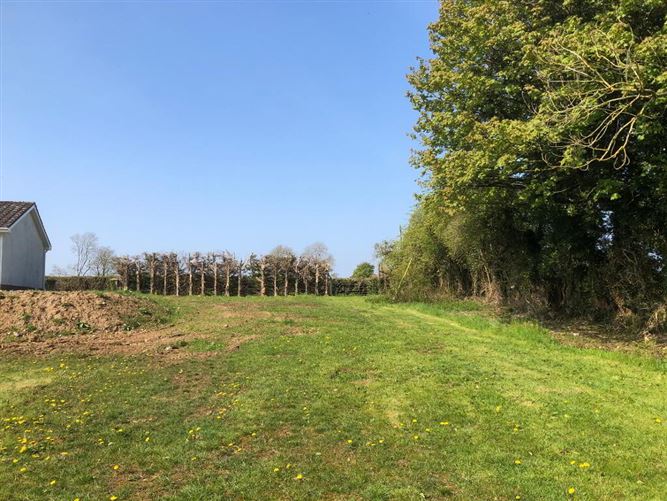 Carrowmore, Newtowncashel, Longford