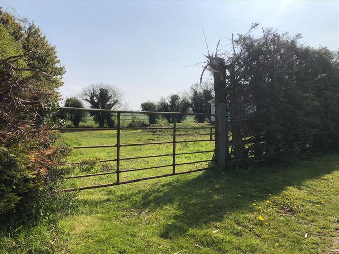 Carrowmore, Newtowncashel, Longford