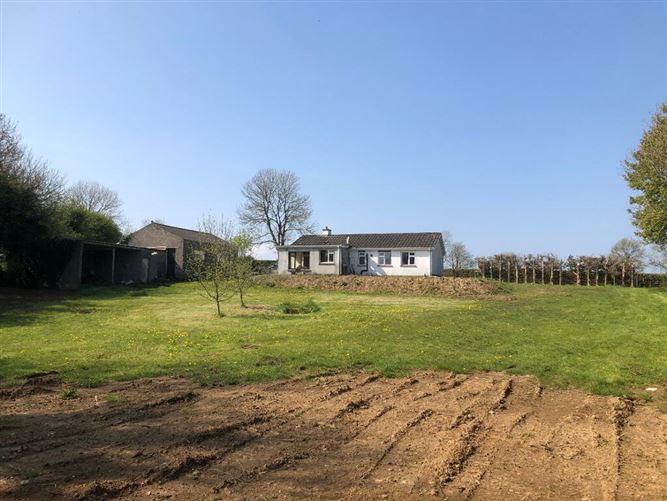 Carrowmore, Newtowncashel, Longford