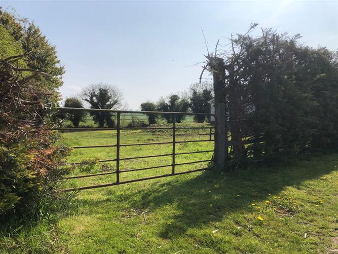 Carrowmore, Newtowncashel, Longford
