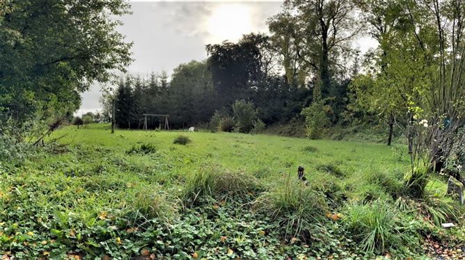 Tuckmill Lower, Baltinglass, Wicklow