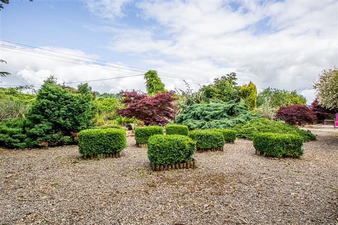 Knockduff, Millands, Gorey, Wexford