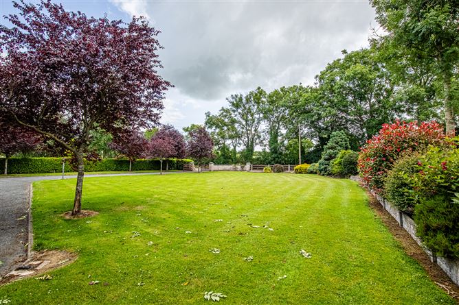 Knockduff, Millands, Gorey, Wexford