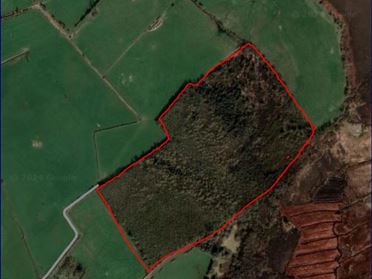 Image for Forestry Lands Corraclevin, Dunkerrin, Birr, Offaly