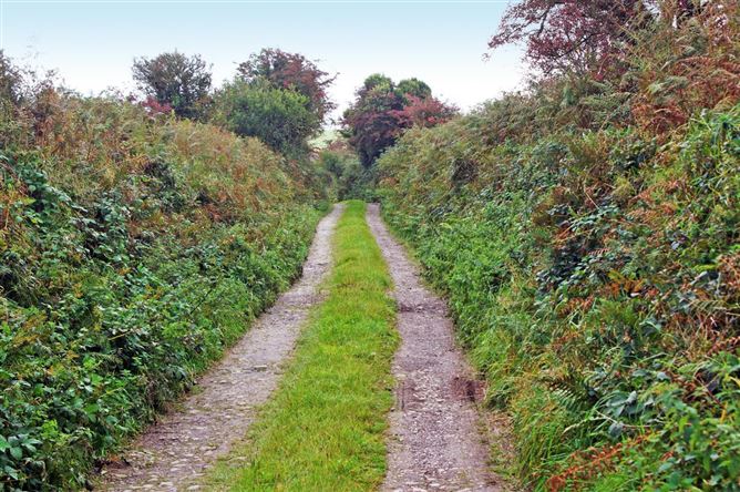 1 Bed in Dungarvan,Dungarvan,  Waterford