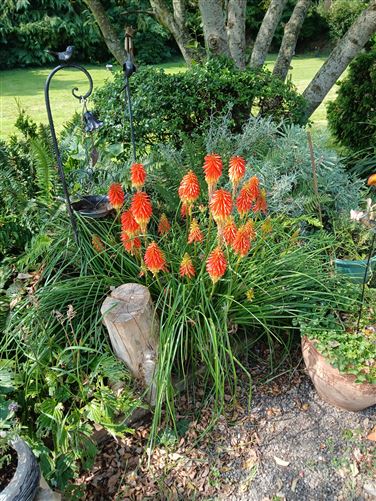 Derrypatrick, Drumree, Meath