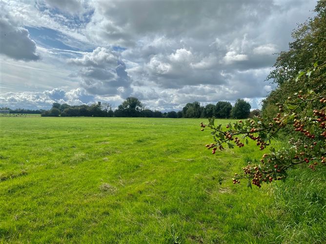 c. 53 Acres, Eagle Hill, Suncroft, Curragh, Kildare